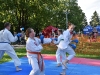 bbc_0254 bbc_0254