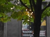 bbc_0318 bbc_0318